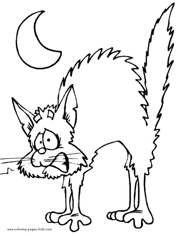Cats 1
